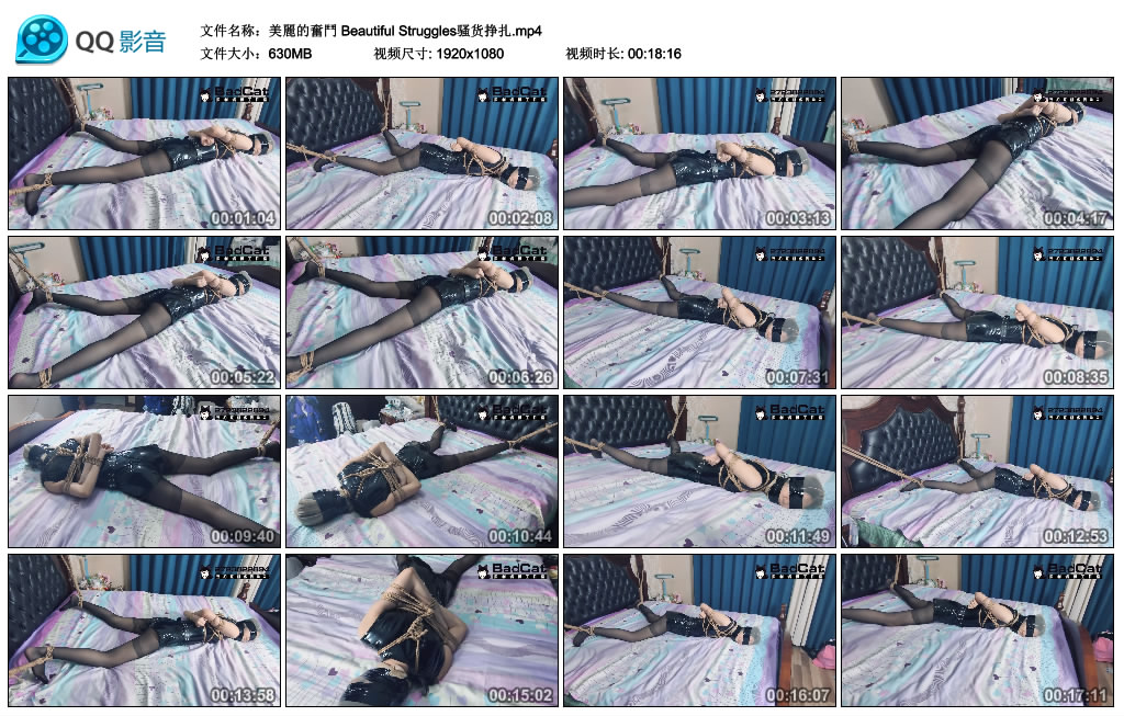181120lnv2b55m5bazapba.jpg