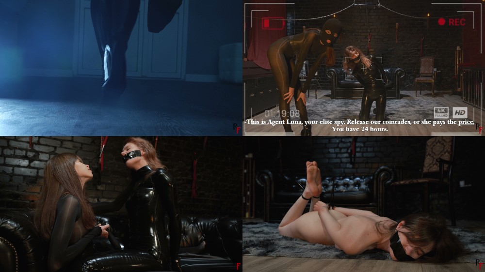 2qgefdyutst.jpg