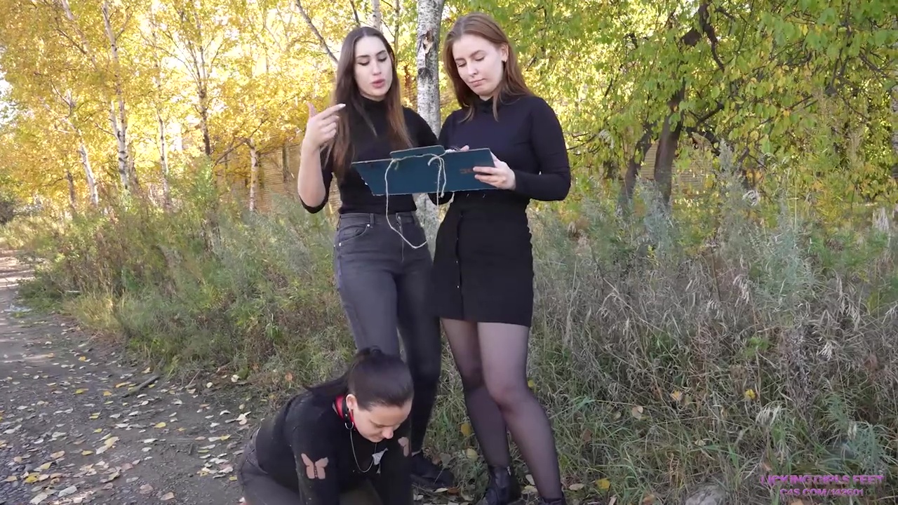 d4pilsptv4g.jpg