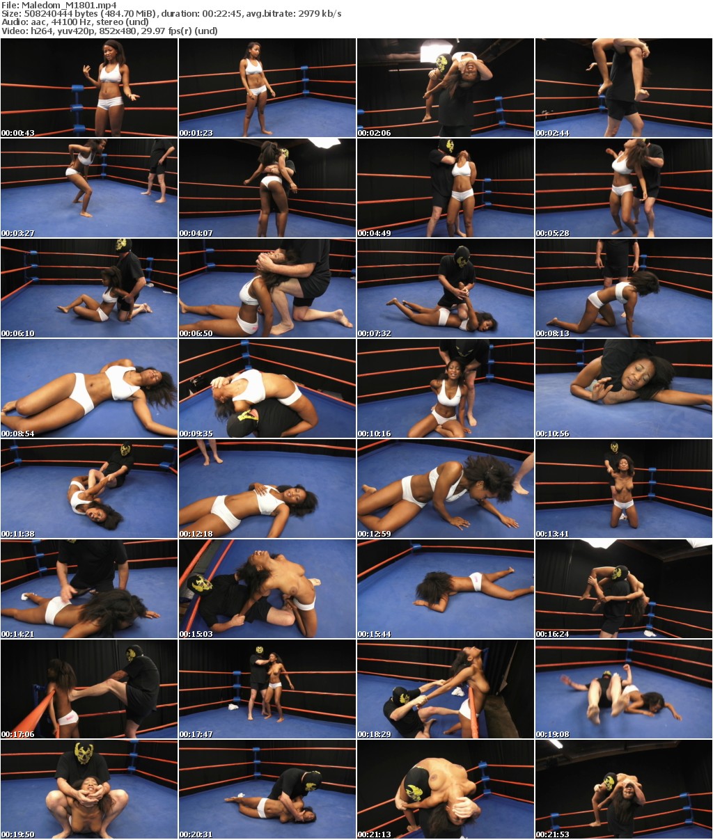 gsifrrhmv1b.jpg