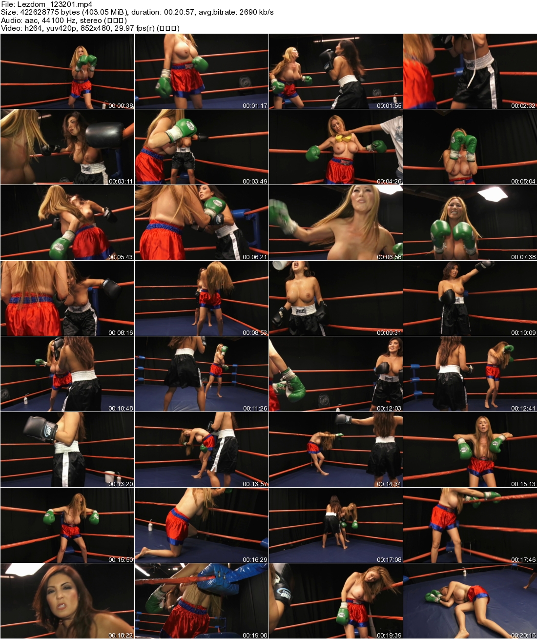 2x5sbomewoe.jpg