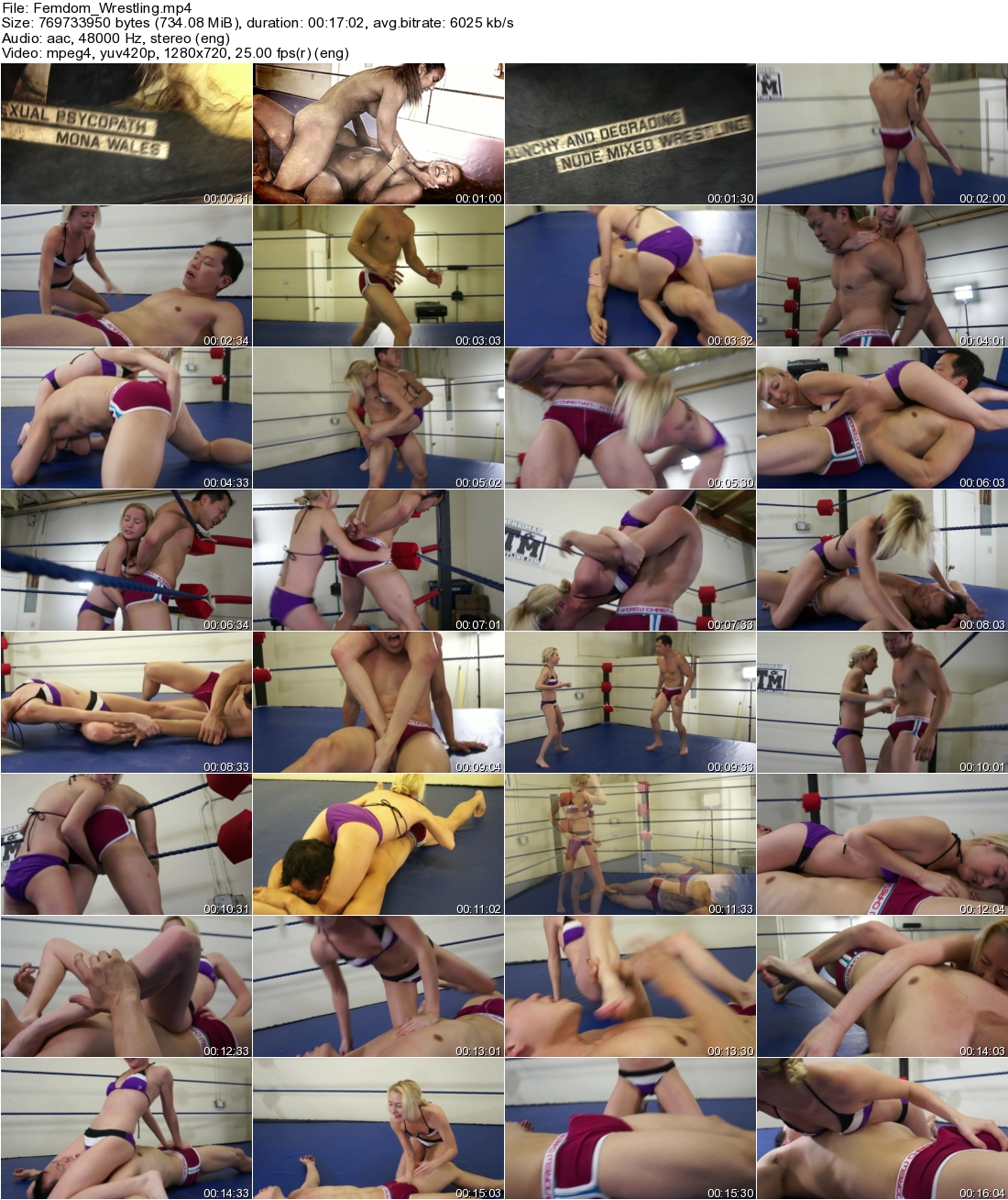 ppu0wkvyvgr.jpg