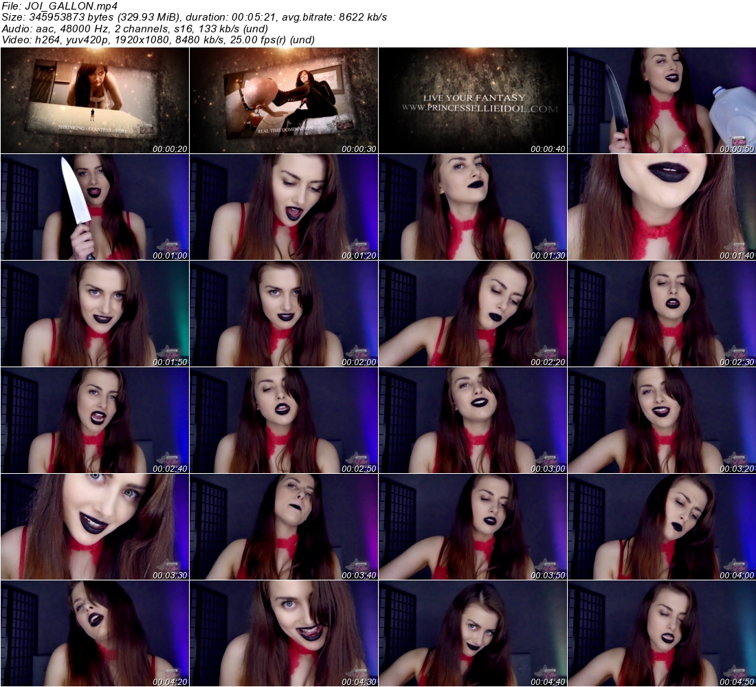 3hfjpqyuh5q.jpeg