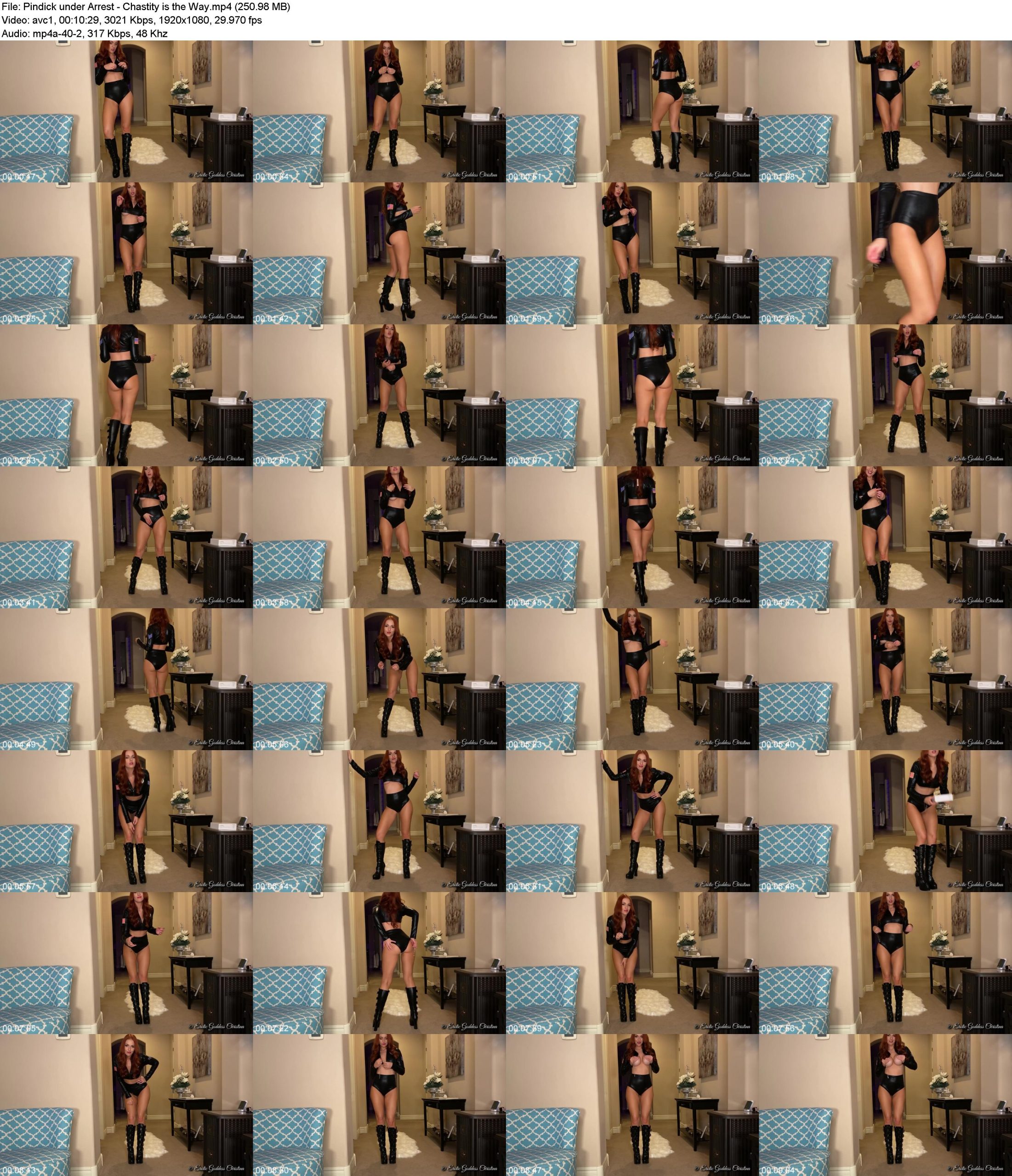 wvvost400no.jpg