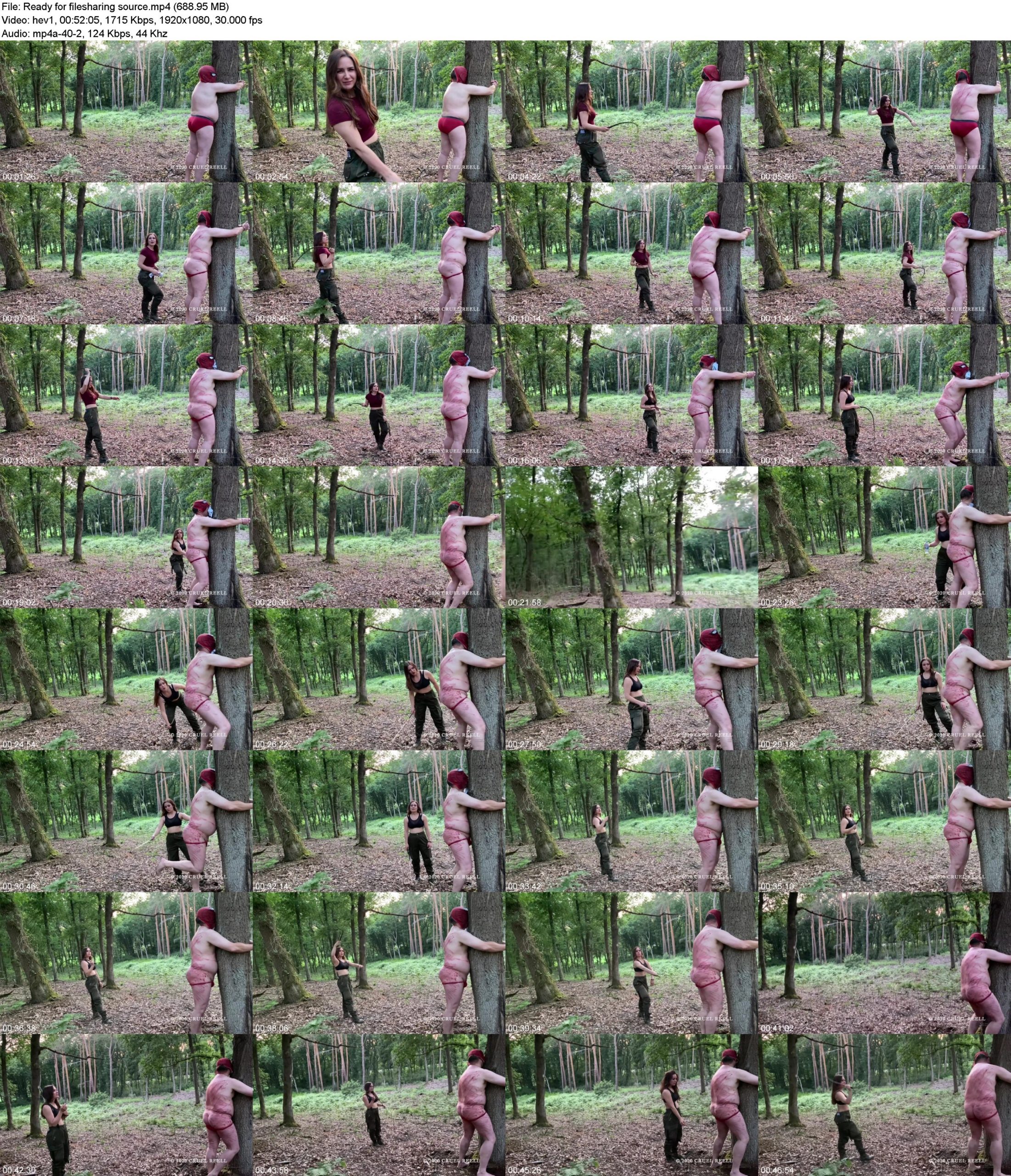 sryc3kyjb11.jpg