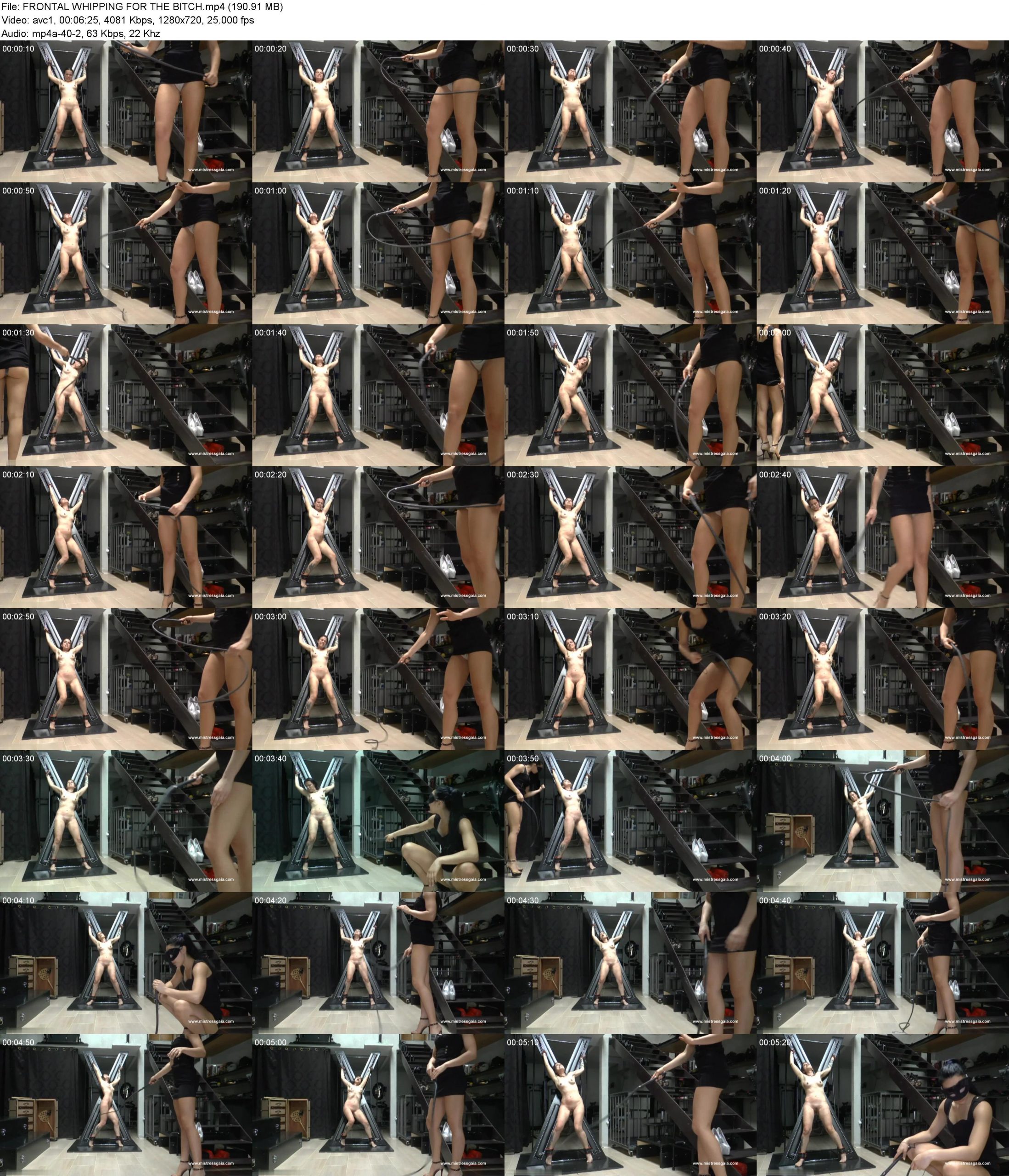 y445ye5yx5j.jpg
