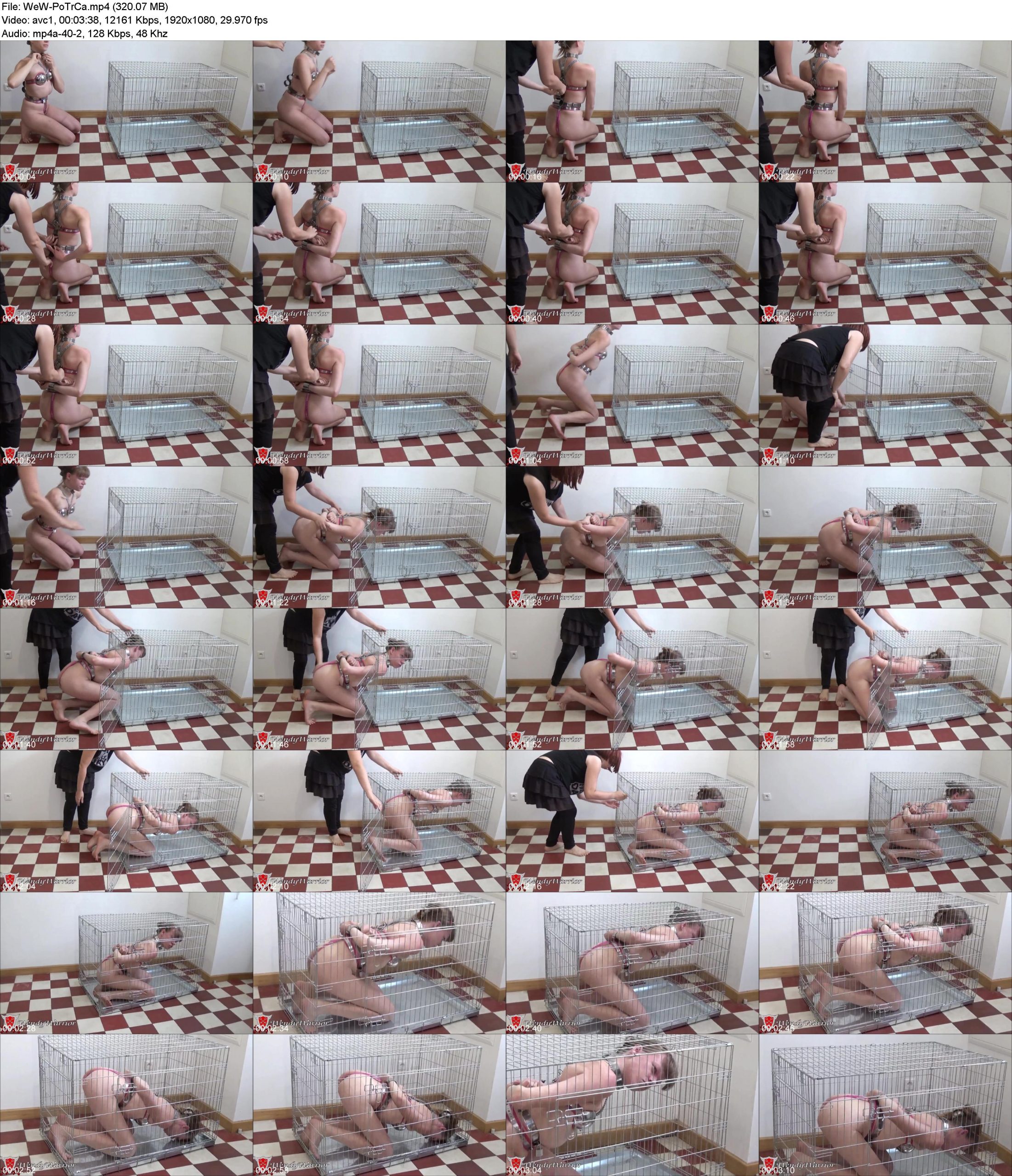 cxcmgzzf4ju.jpg
