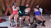 The Girls in the Attic